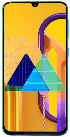 Samsung Galaxy M30s