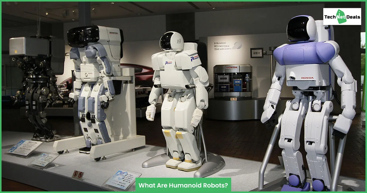 What Are Humanoid Robots