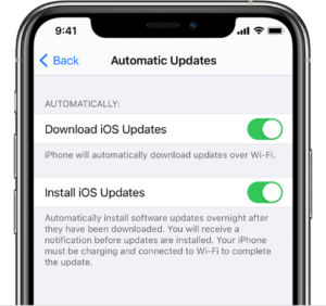 Select Automatic Updates