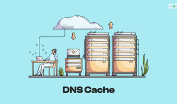 DNS Cache